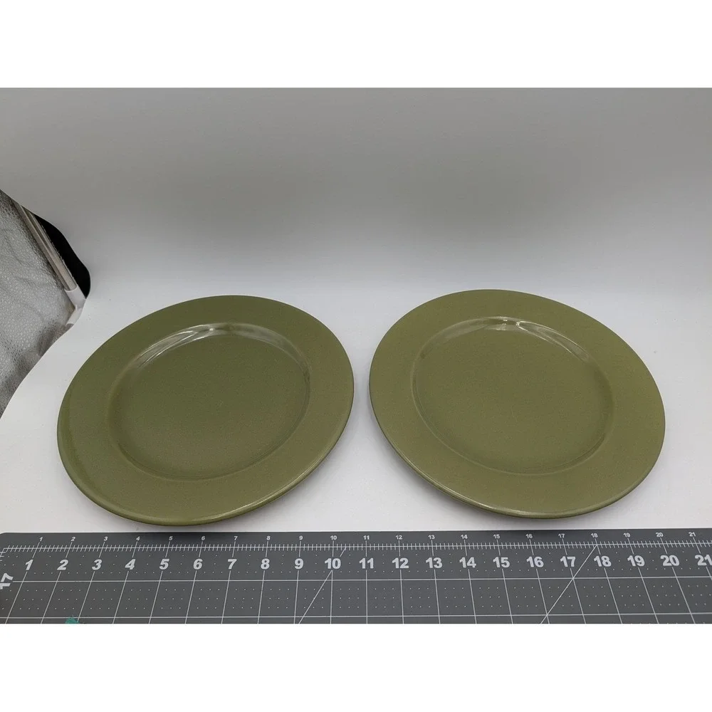 Pier 1‎ Ironstone Bohemian Green Dinner Plate 10.25 Inch Lot of 2